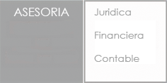 Alicia Vidal Orts. Laboral, fiscal, juridica, contable, empresa